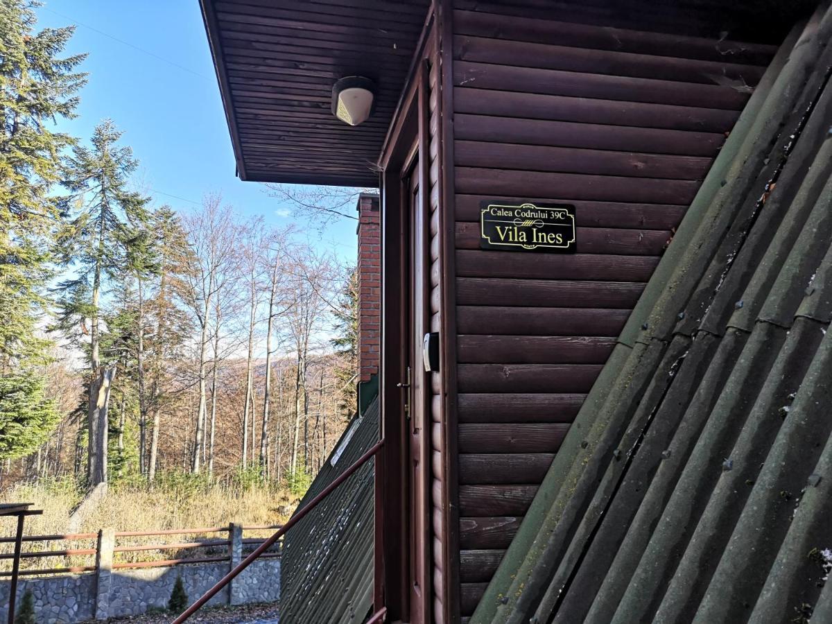 Vila Ines Sinaia Bagian luar foto