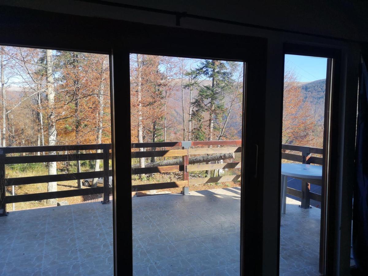 Vila Ines Sinaia Bagian luar foto