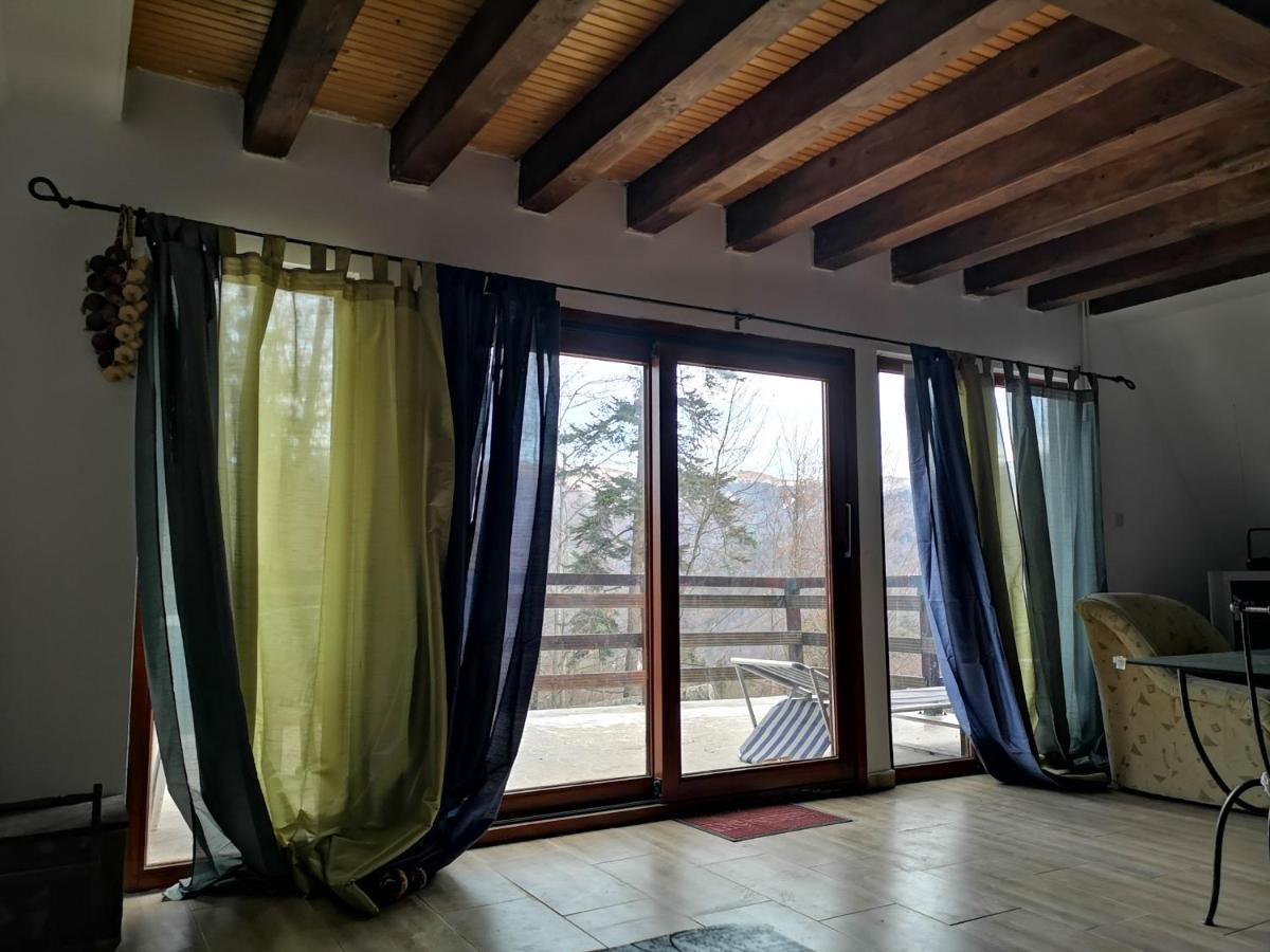 Vila Ines Sinaia Bagian luar foto