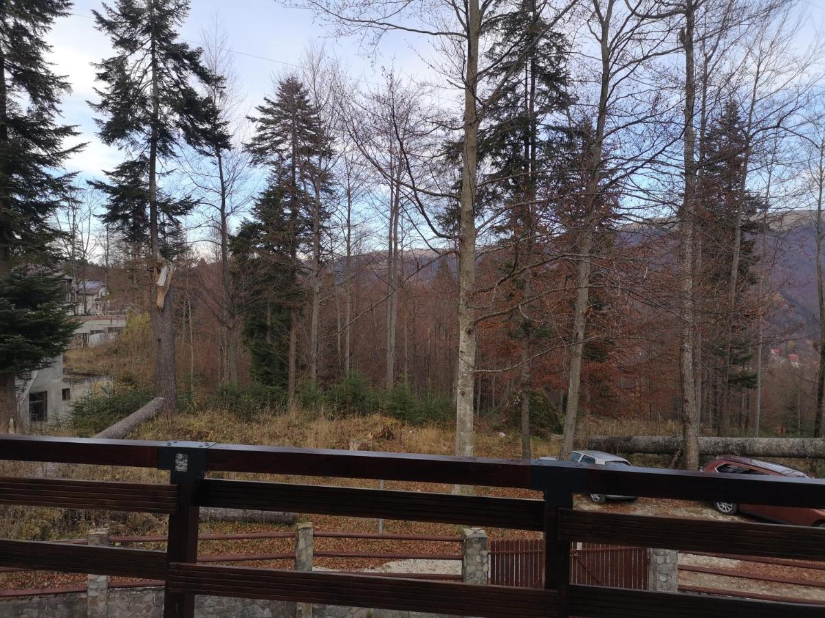Vila Ines Sinaia Bagian luar foto