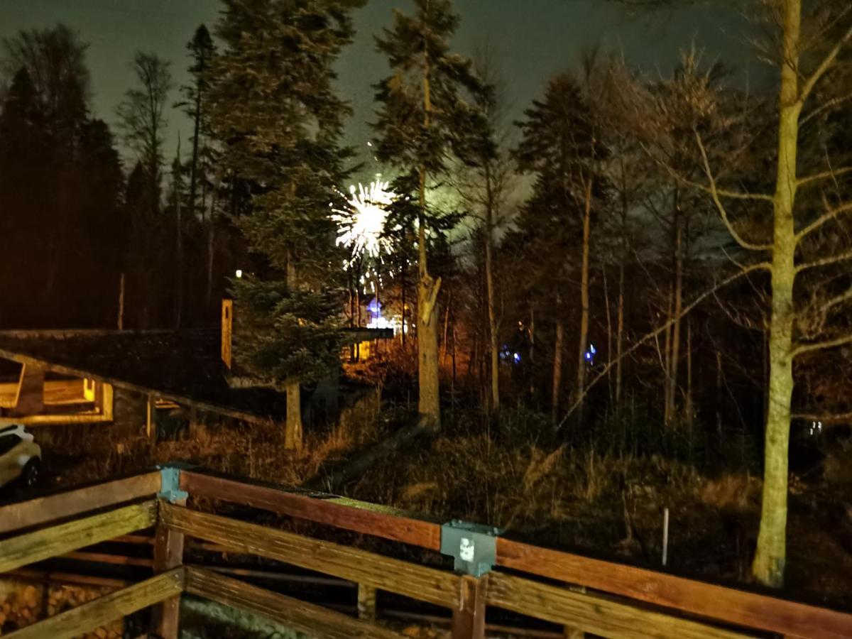 Vila Ines Sinaia Bagian luar foto