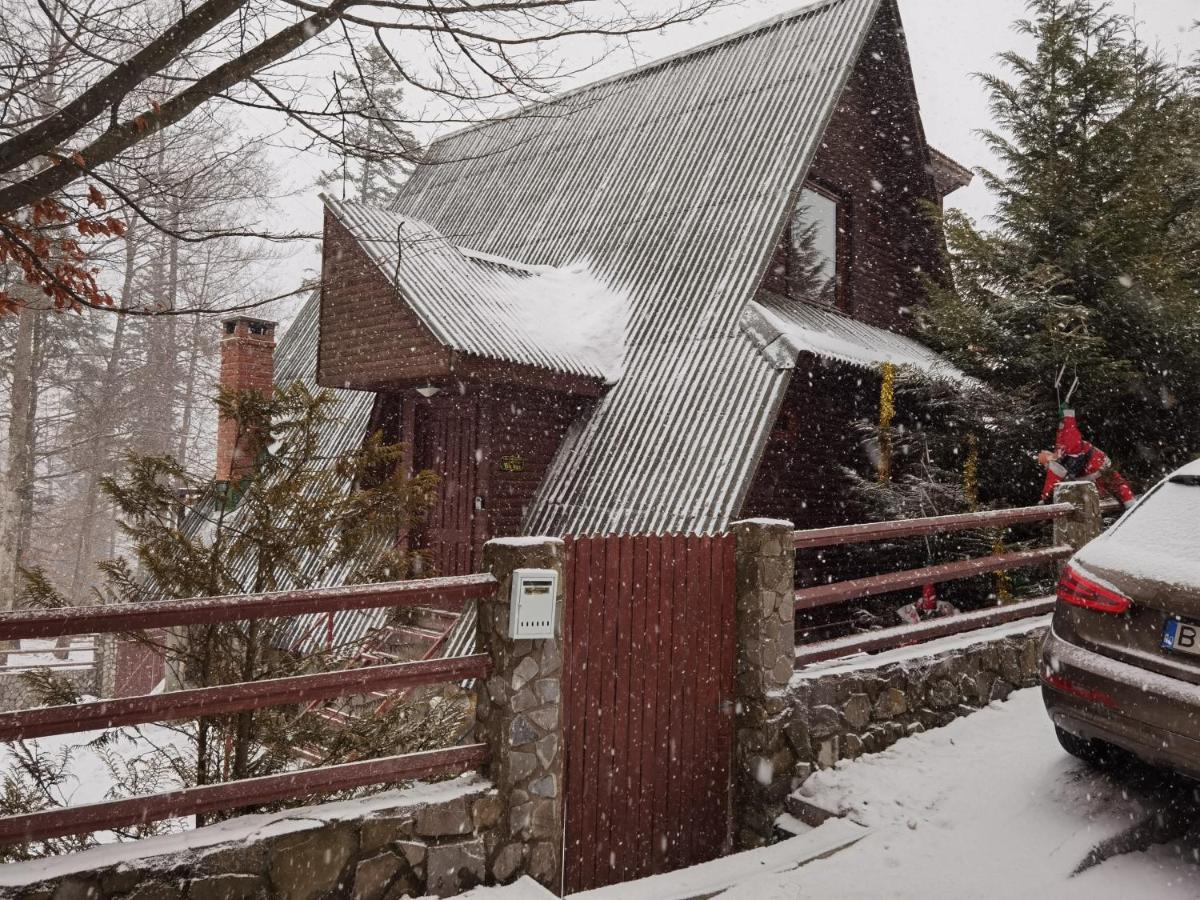 Vila Ines Sinaia Bagian luar foto