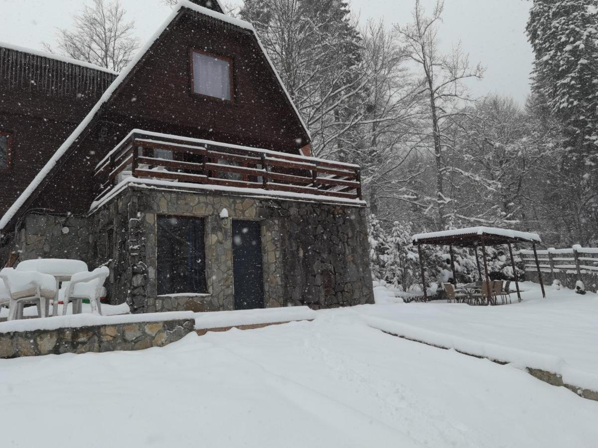 Vila Ines Sinaia Bagian luar foto