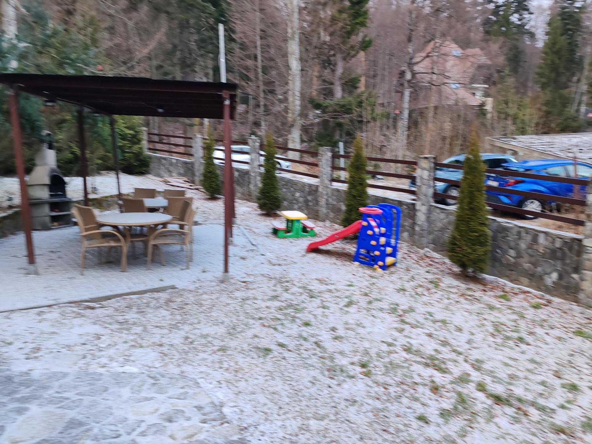 Vila Ines Sinaia Bagian luar foto